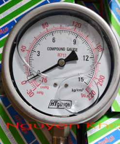 HT Gauge NH3